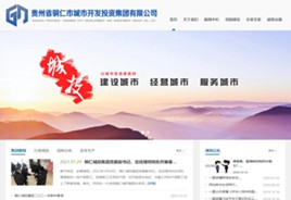 定结城市开发投资集团有限公司