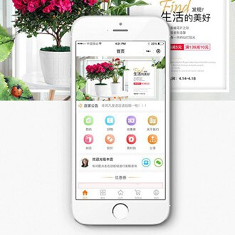 定结门店微商城小程序开发