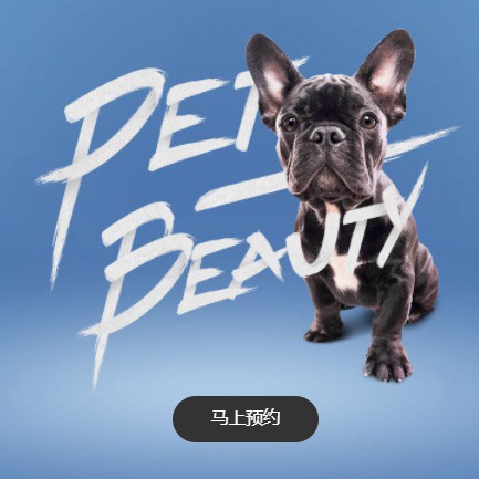 定结宠物中心小程序开发