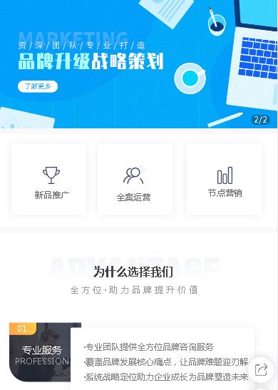 定结咨询策划小程序开发