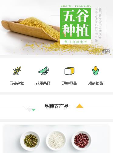 定结农资农科小程序开发