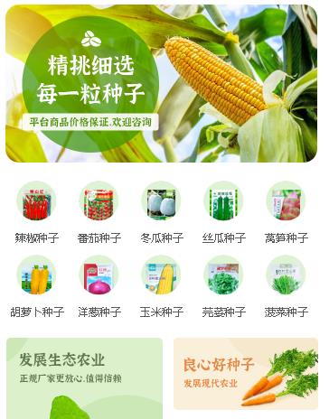 定结农业小程序开发