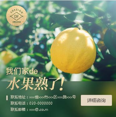 定结果园果林小程序开发